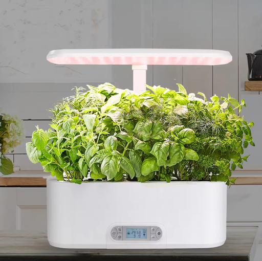 Smart Garden 11 Pots
